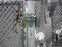 Filename=IMG_0276.jpg
Filesize=605KiB
Dimensions=1333x1000
Date added=May 03, 2012 IMG_0276.jpg